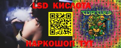 сатива Можга
