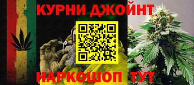 сатива Можга