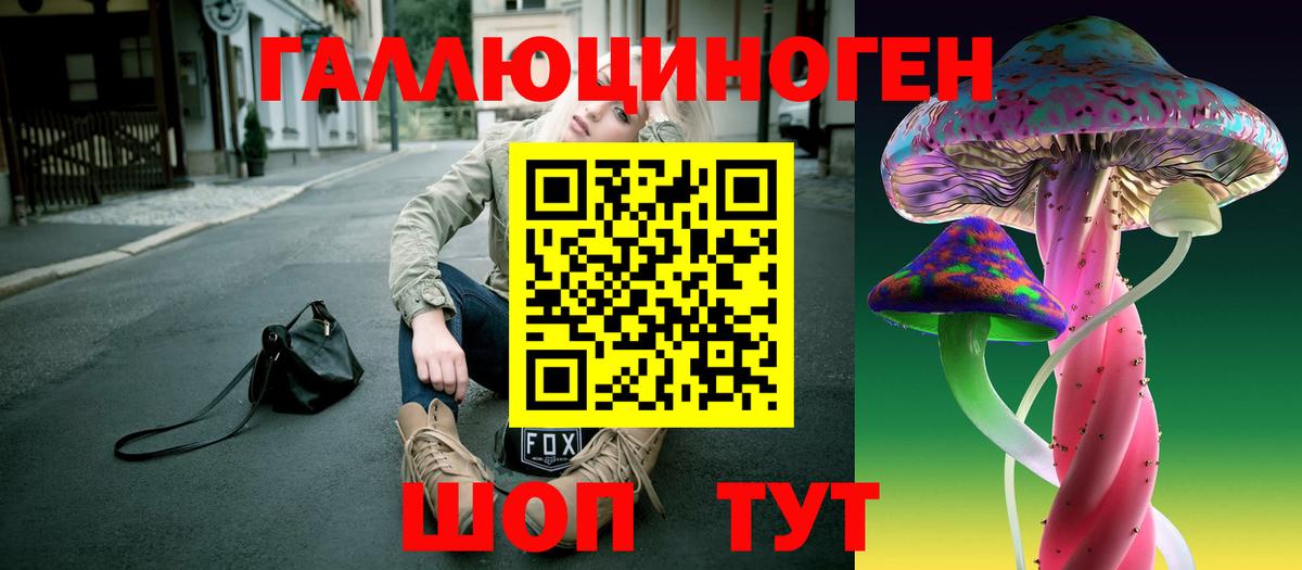 Псилоцибиновые грибы Psilocybe Чехов